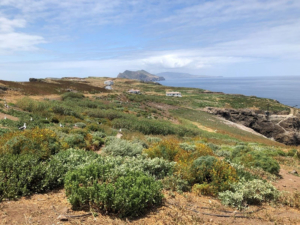 2019 After view of Anacapa's Lighthouse Slope